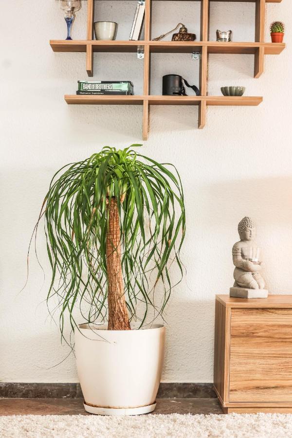 Suburban Casa Apartment Alepou Екстериор снимка